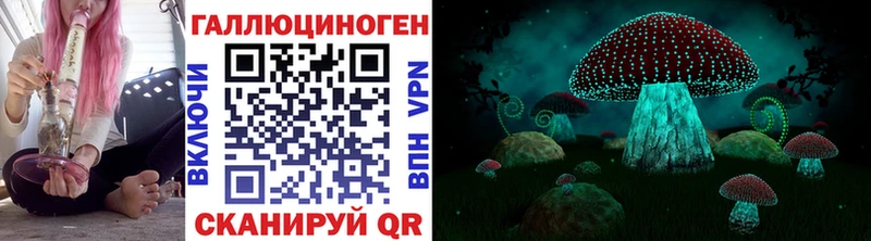 Псилоцибиновые грибы мицелий  Домодедово 