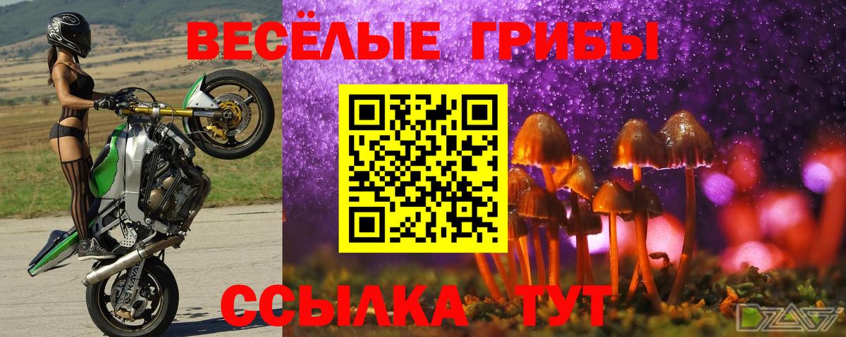 Галлюциногенные грибы Magic Shrooms  Вход с VPN  Домодедово  Галлюциногенные грибы Magic Shrooms 