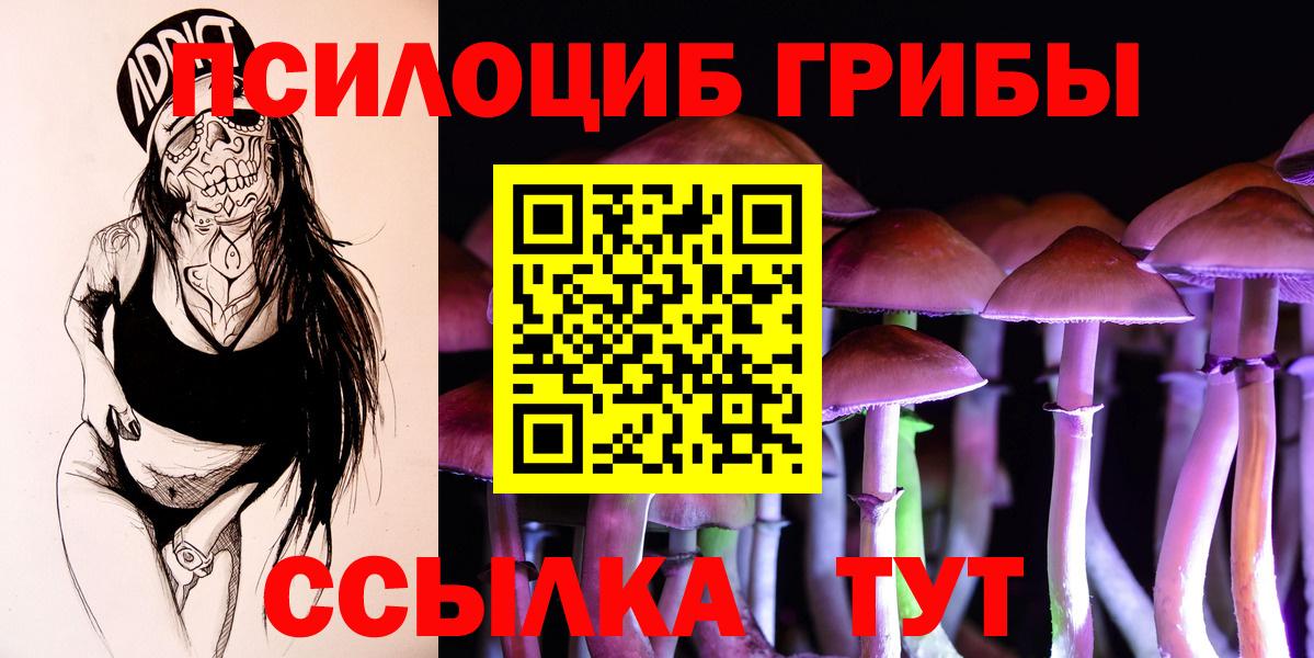 Галлюциногенные грибы GOLDEN TEACHER  Домодедово 